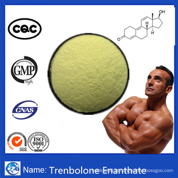 Pó anabólico Trenbolone Enanthate do esteroide de Tren Enanthate